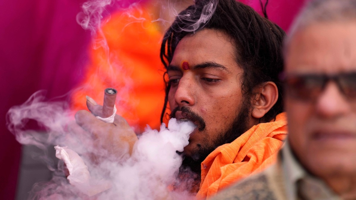 tobacco in hinduism Hindu saint naga baba Shivdasgiri smoking holding trishul rod Varanasi on Ganga river, Uttar Pradesh, India MR#707A Stock Photo Why and How is consuming