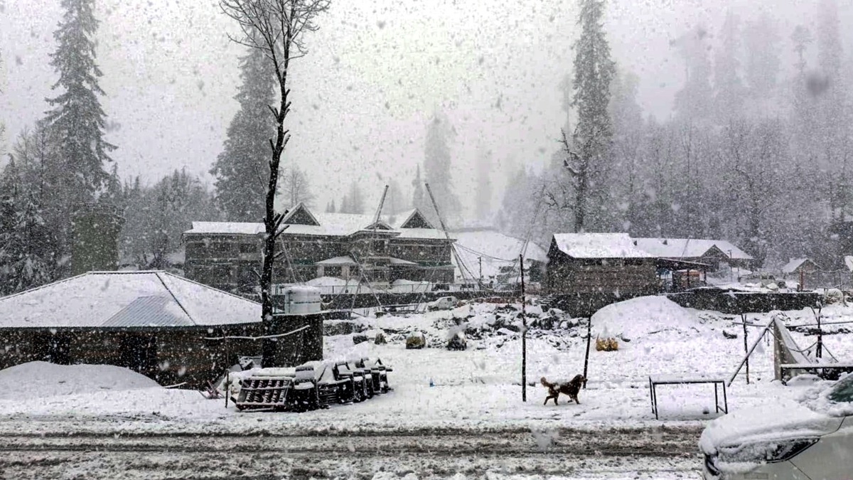 https://akm-img-a-in.tosshub.com/indiatoday/images/story/202412/himachal-snowfall-273711360-16x9_0.jpeg?VersionId=k44wDetozVY_t4AseS6Uvo0WBwNcjdge&size=690%3A388&utm_source=chatgpt.com