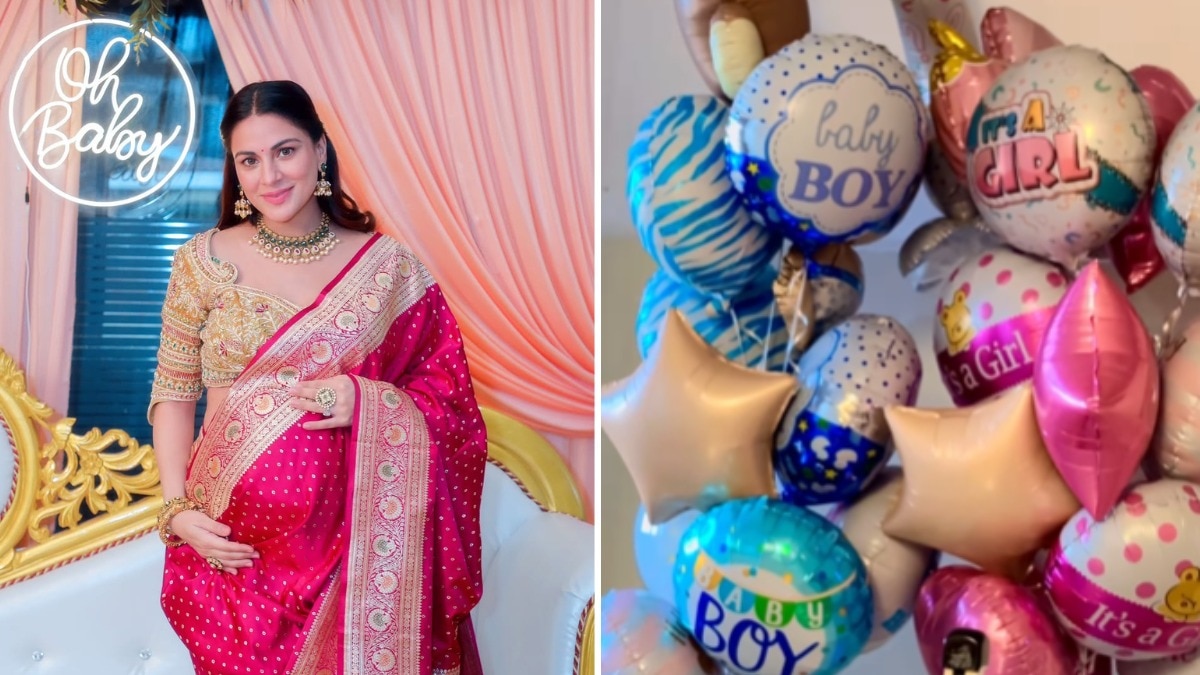 Shraddha Arya blessed with twins.