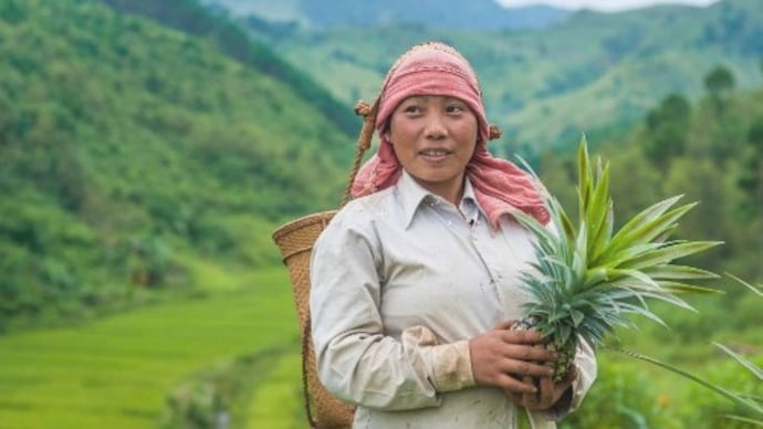 Imphal Film Festival to begin from February 6 (Representational Image Courtesy Getty) a representative image