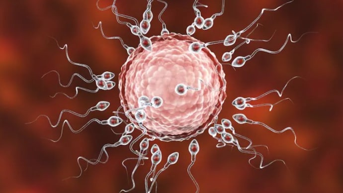 $1,000 fine for men ejaculating without intent to conceive under new Ohio bill - India Today