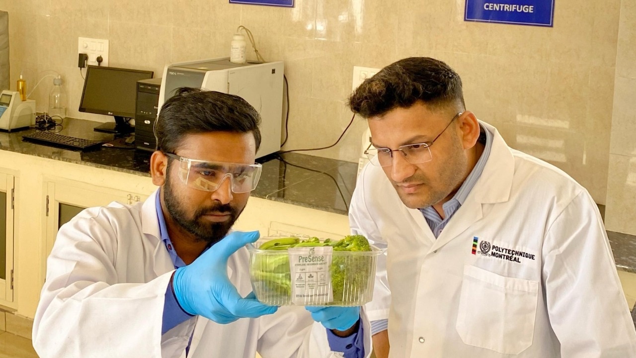 IIT Roorkee's eco-packaging extends fresh produce shelf life by one week