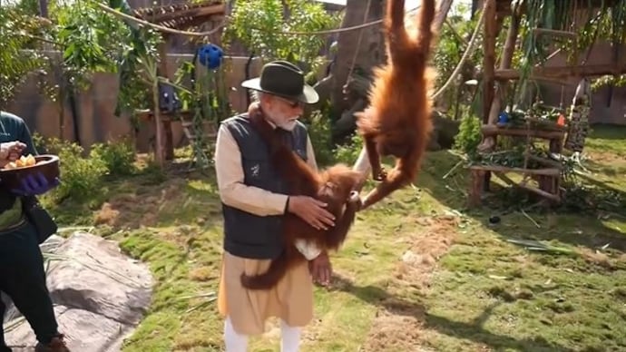 Video: PM Modi plays with orangutan, feeds lion cub at Vantara animal shelter - India Today