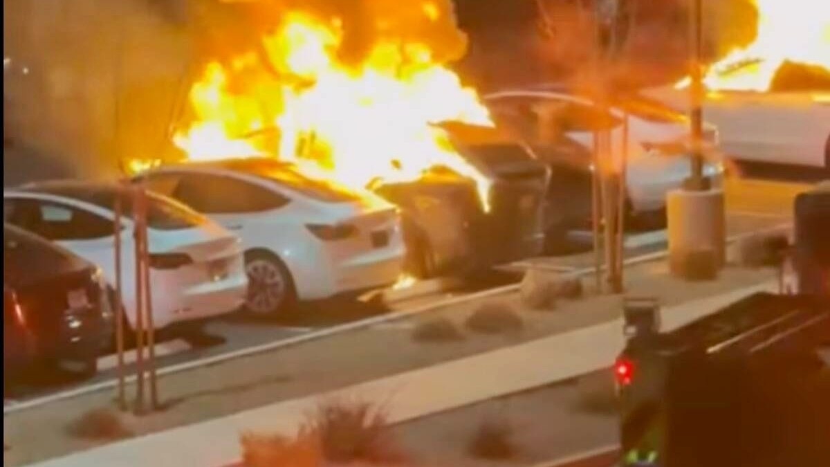 Tesla cars torched, details of owners leaked as Elon Musk decries 'terrorism'