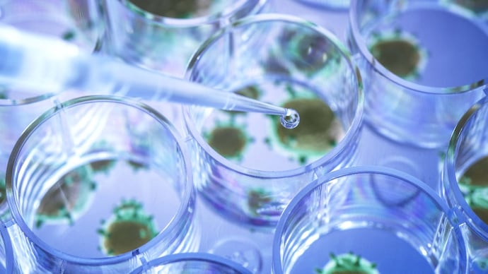 NIH, whose annual budget is around $ 48 billion, is currently financing 50,000 grants to more than 3 lakh researchers in 2,500 universities, hospitals and other institutions. (Photo: Getty Image) Trump nih