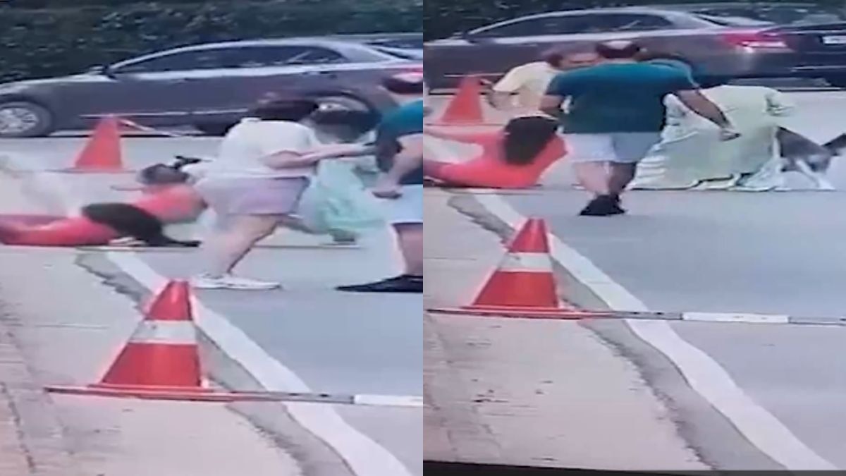 Caught on CCTV: Leashed husky attacks Gurugram woman on walk, drags, bites her