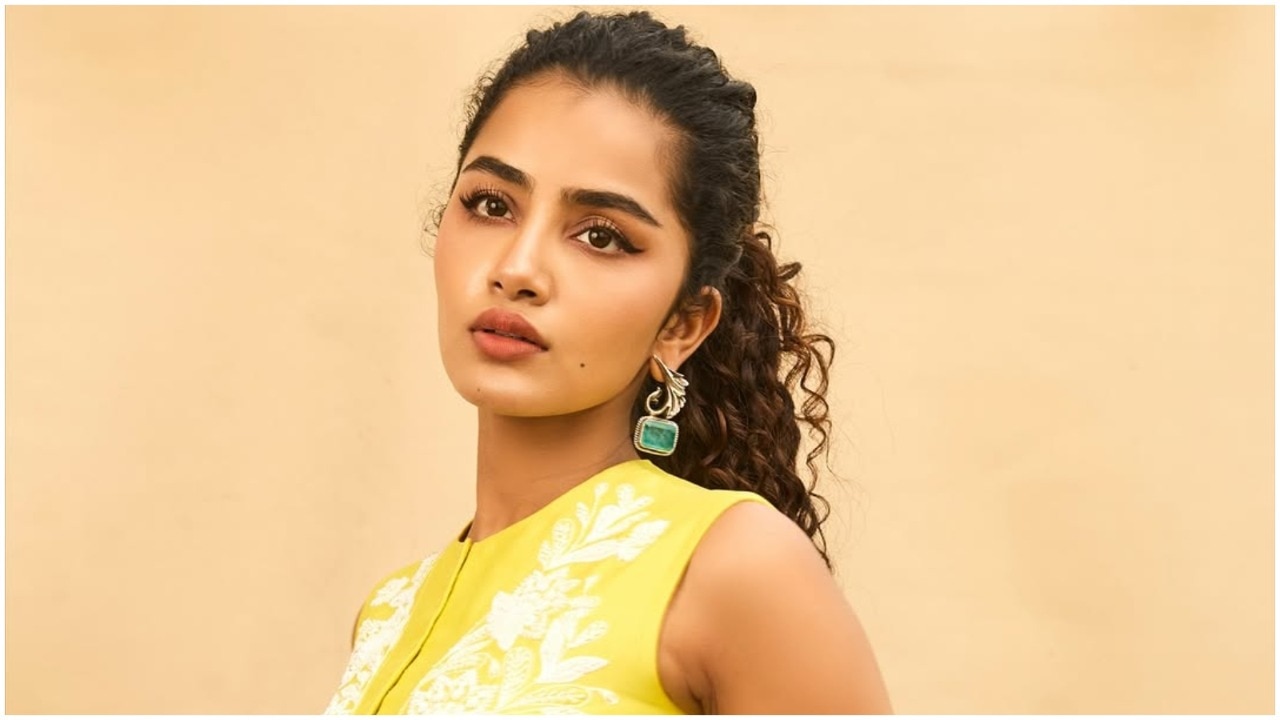 Anupama Parameswaran files cyber case after 20-year-old woman targets her