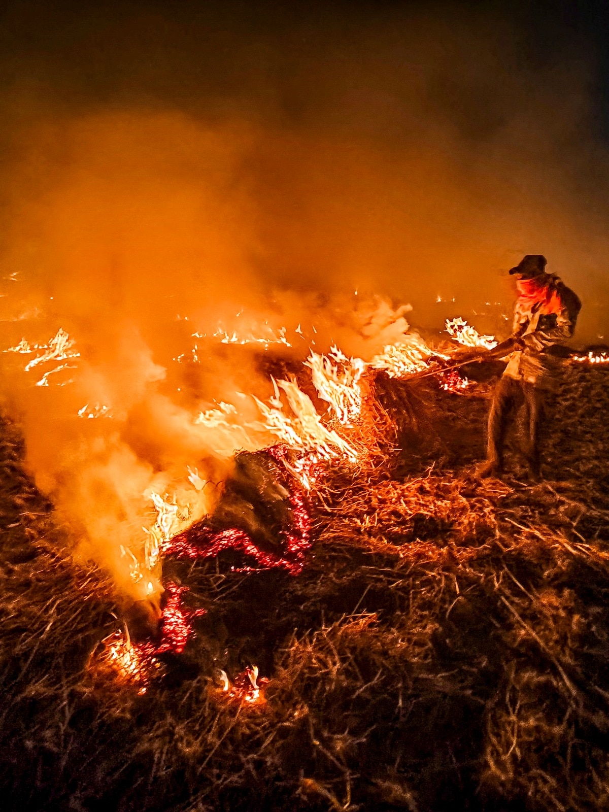 Delhi AQI: How farmers are dodging satellites with 5 PM trick, fooling govt on farm fires - India Today