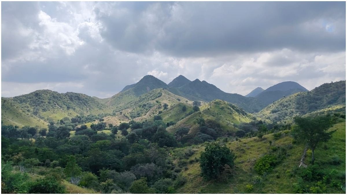 No new mining leases in Aravallis, will protect entire range: Centre's big order