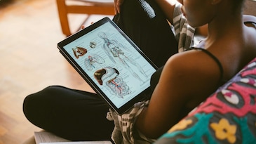 Why diagrams help students learn better and boost scores in Biology board exams Why diagrams help students learn better and boost scores in Biology board exams