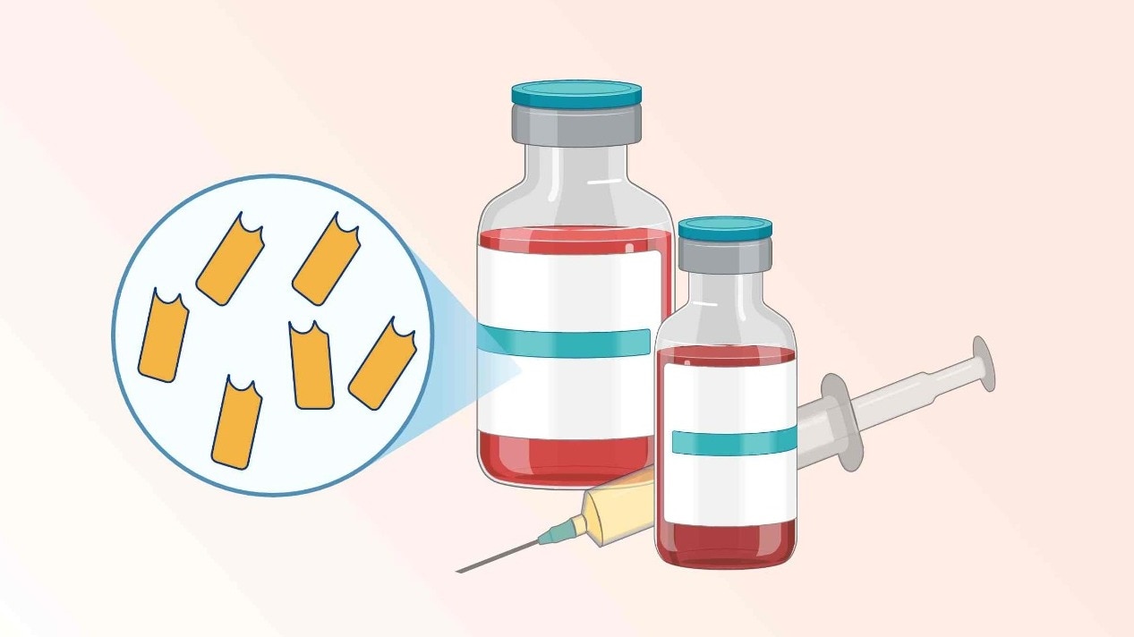 IIT Roorkee builds indigenous system to speed up antibody research