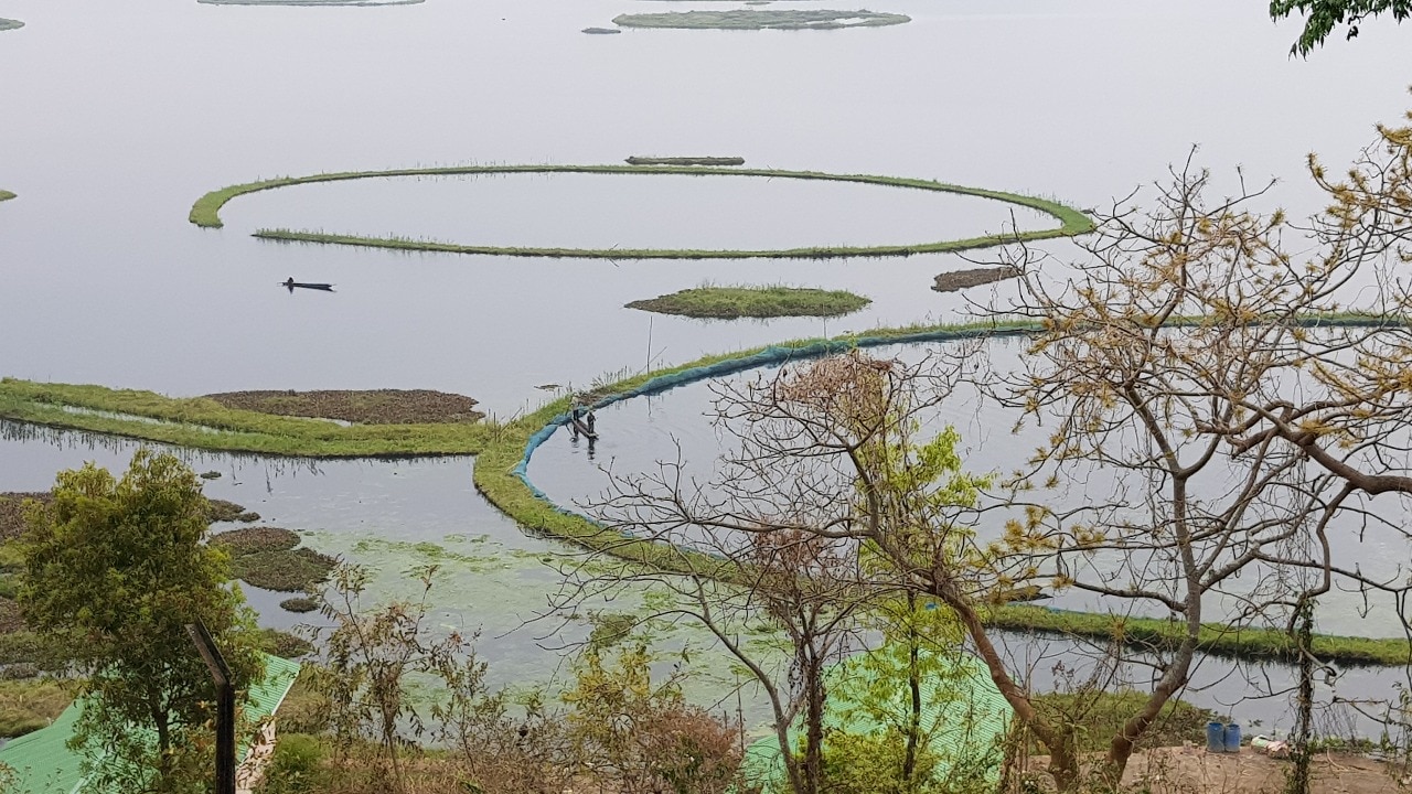 Keibul Lamjao: Explore the world's only floating national park in India