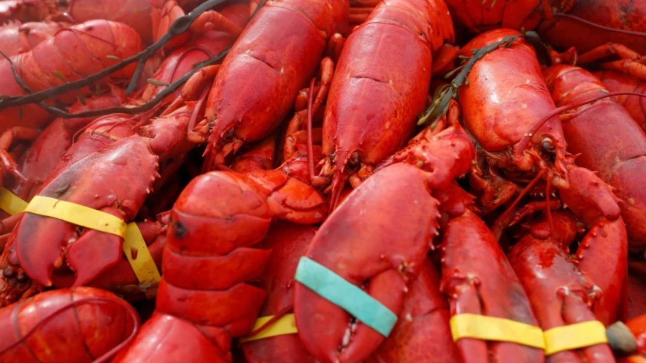 Oysters, lobster worth $400,000 stolen in US Northeast cargo thefts
