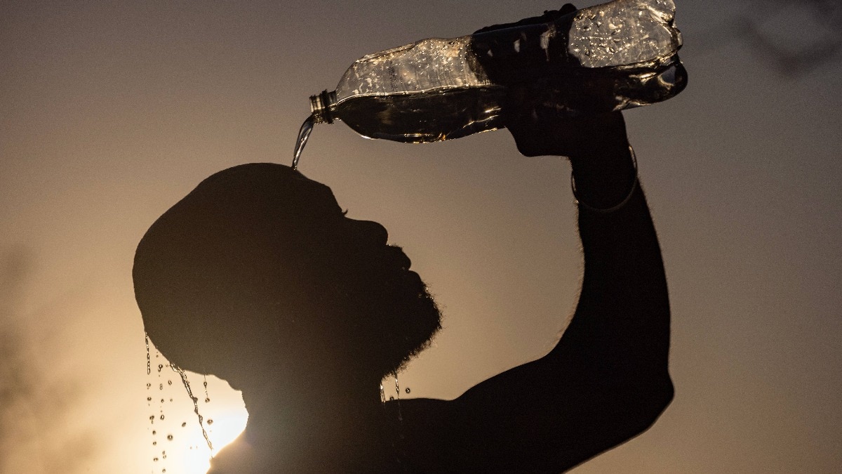 Predicting heatwaves is essential in India. Could it soon become a reality?