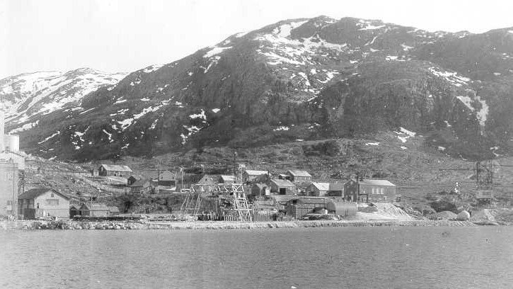 Story Trump won't tell you. How Greenland helped US in WW2 with a rare mineral