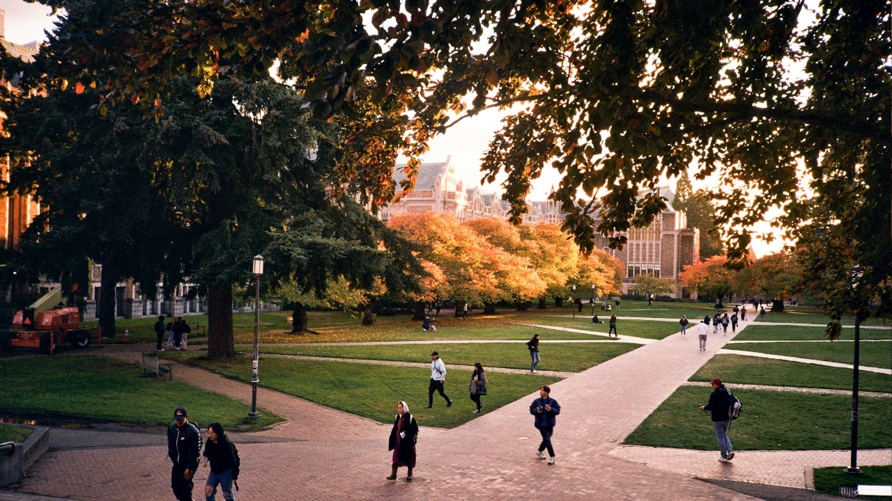 UAE warns of Islamic radicalisation on UK campuses, ends students' scholarships