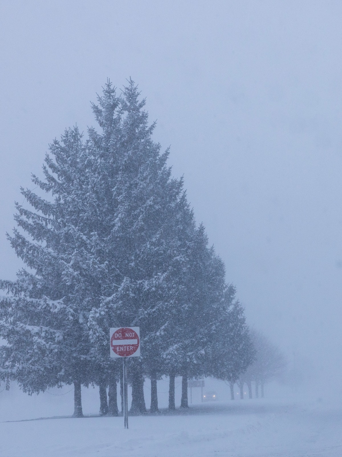 Monster winter storm sweeps US, over 9,000 flights cancelled ...
