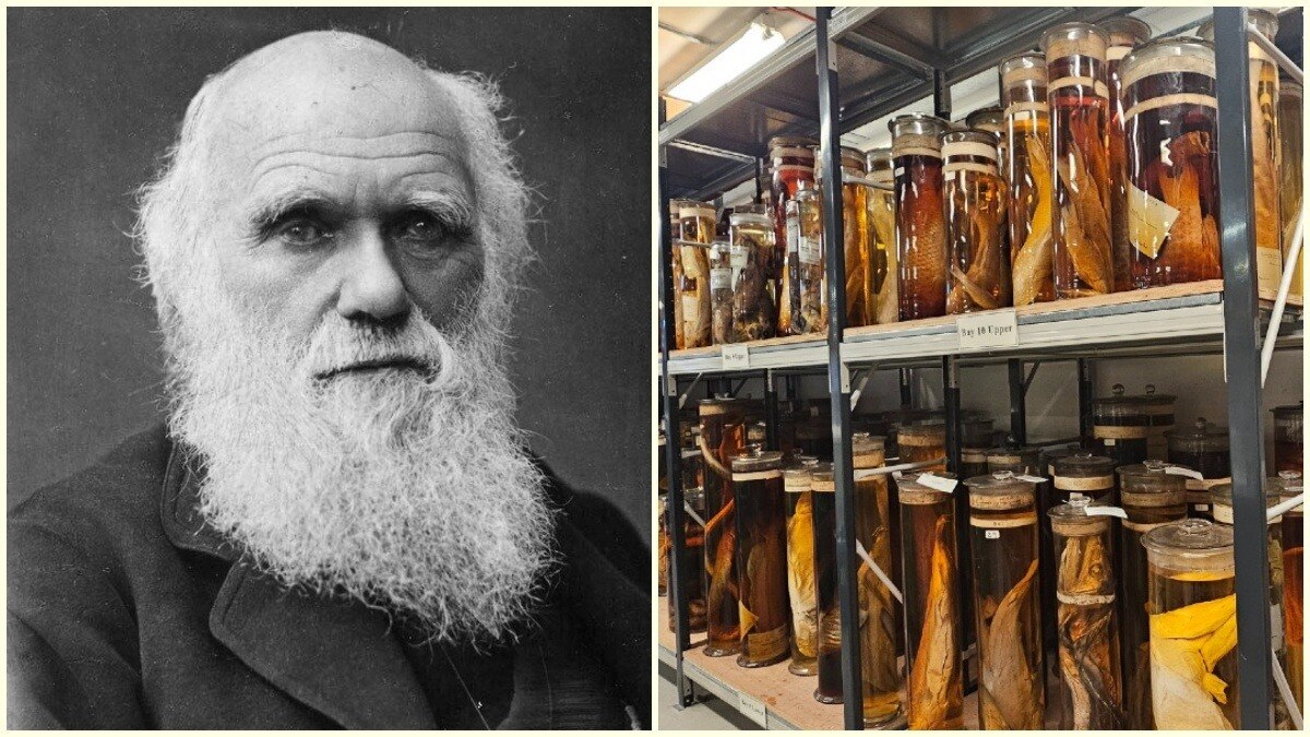 Darwin knew the answer in 1838, so why did he wait 20 years?