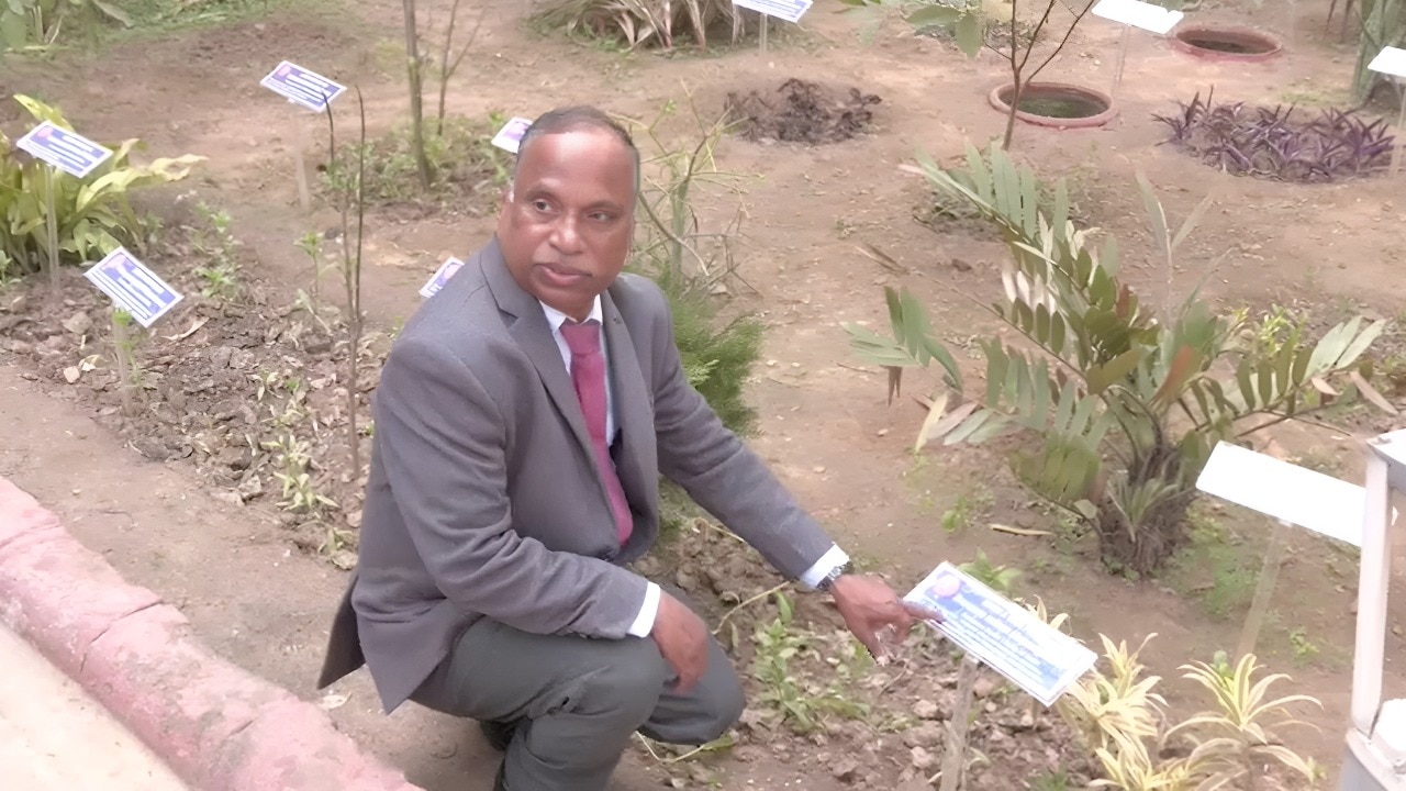 India's first carbon garden built at DU: How it cleans air and restores soil