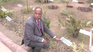 India's first carbon garden built at DU: How it cleans air and restores soil India's first carbon garden built at DU: How it cleans air and restores soil
