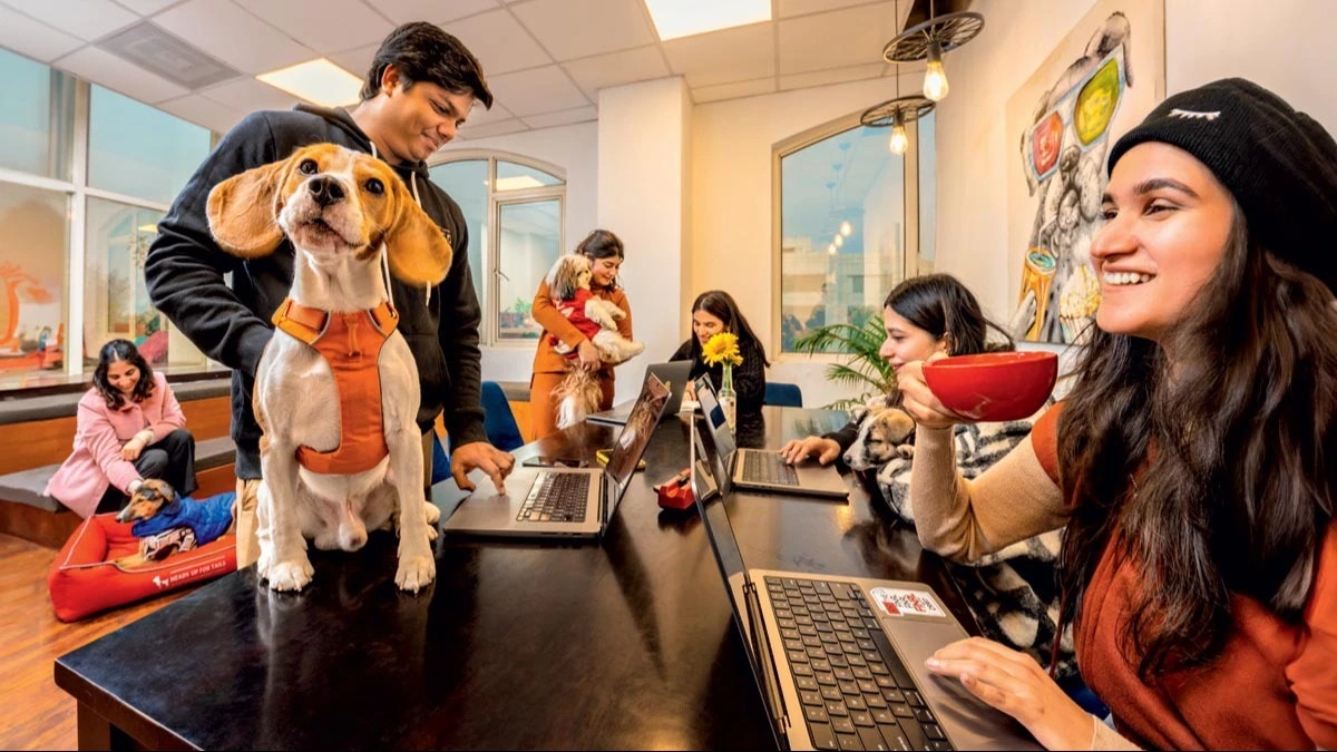 Work culture 2.0: How Gen Z priorities contrast with Millennial realities