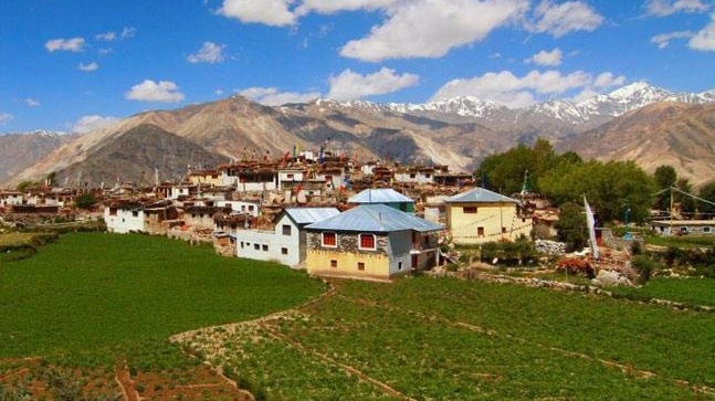 55% rural youth rely on AI for daily tasks, says survey