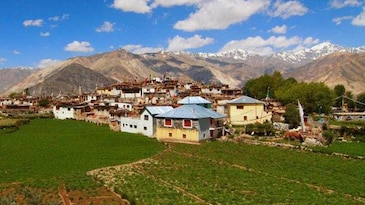 55% rural youth rely on AI for daily tasks, says survey 55% rural youth rely on AI for daily tasks, says survey