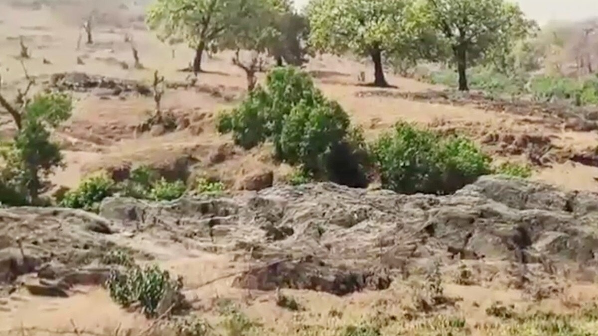 Woman lists living husband as dead, draws pension and maintenance fund