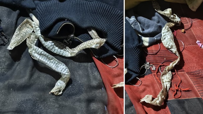 Snake skin left behind as woman flees with lover. Snake skin left behind as woman flees with lover.
