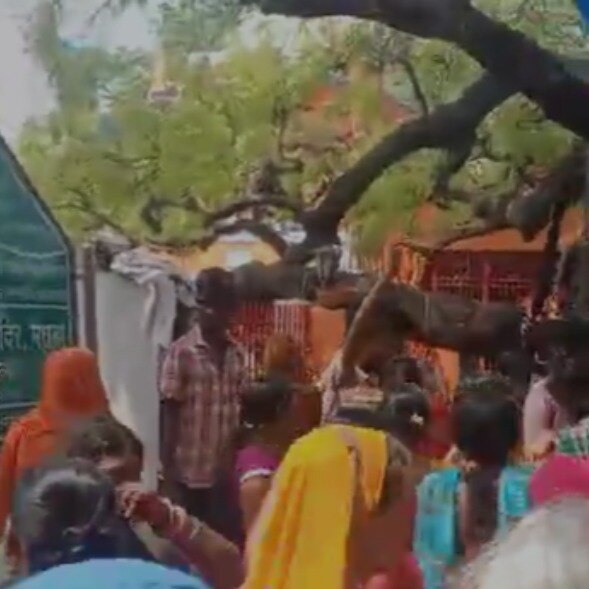 Visuals from the scene showed scores of devotees gathered inside the temple premises.