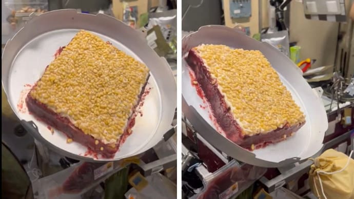 Astronauts aboard the space station made a real cake using bread, condensed milk, dried fruits, and jam, without a conventional oven, in zero gravity. (Photo: X/@gagan_shux) Astronauts aboard the space station made a real cake using bread, condensed milk, dried fruits, and jam, without a conventional oven, in zero gravity. (Photo: X/@gagan_shux)