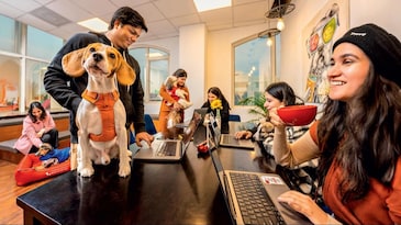 Gen Z vs life skills: They can prompt AI but can they fold their clothes Gen Z vs life skills: They can prompt AI but can they fold their clothes