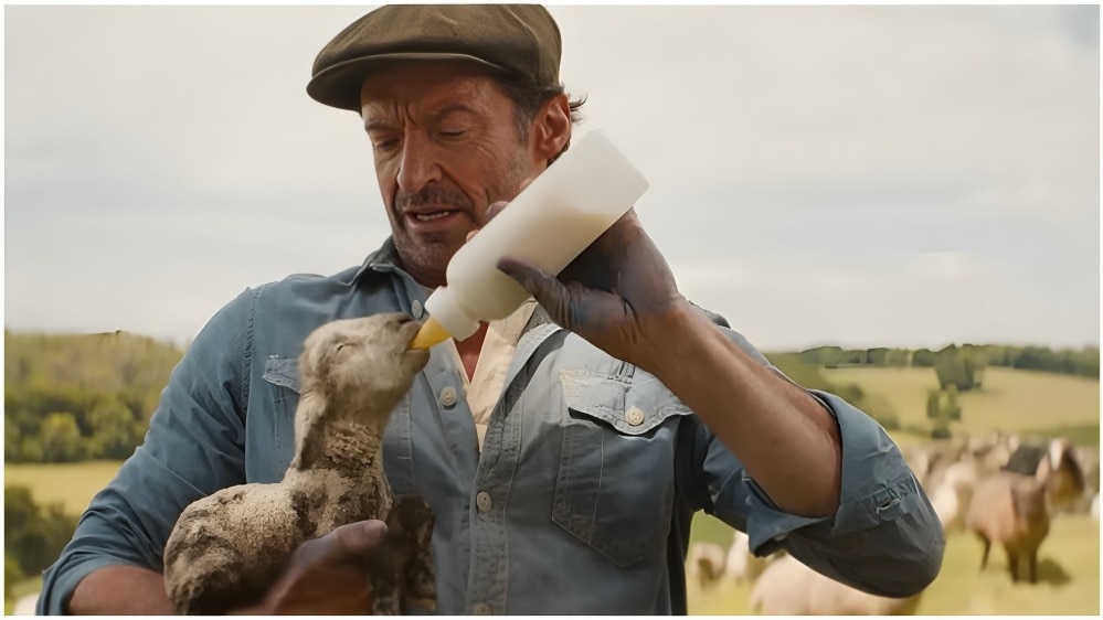 Hugh Jackman in The Sheep Detectives