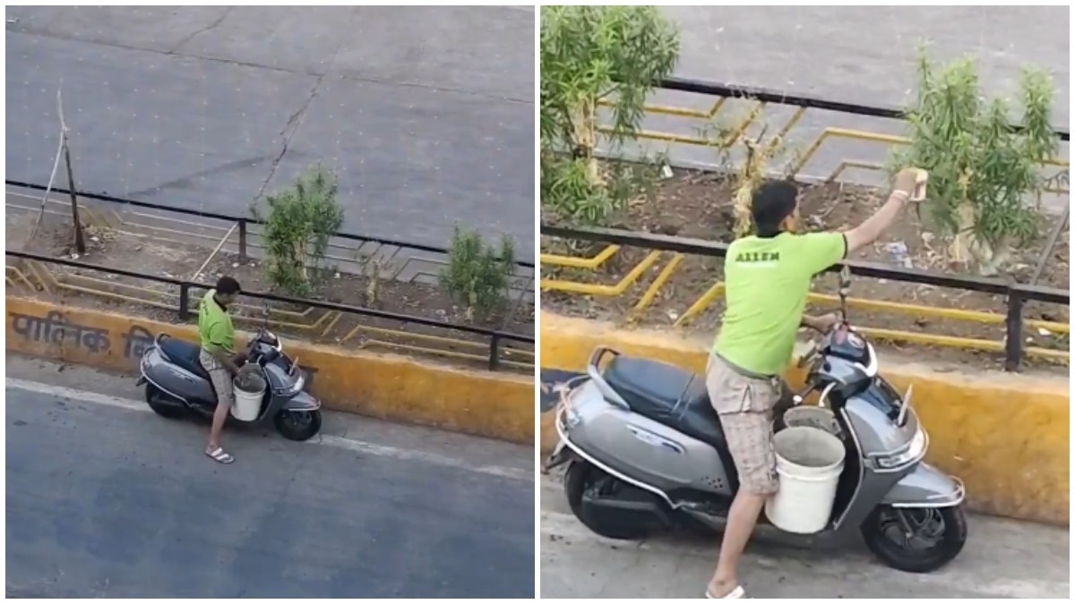 Man Waters Road Divider Plants Daily, Internet Cheers