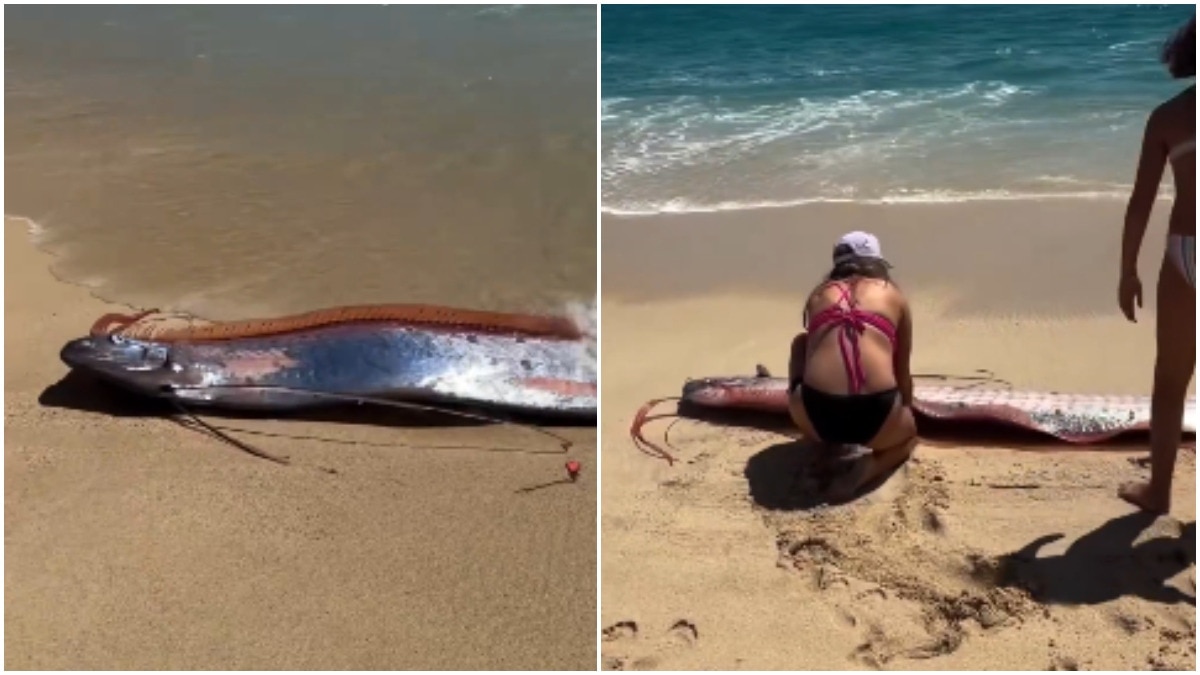 Woman Films Two Rare Doomsday Fish on Mexico Beach