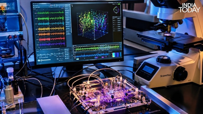 3D chip mini-brain