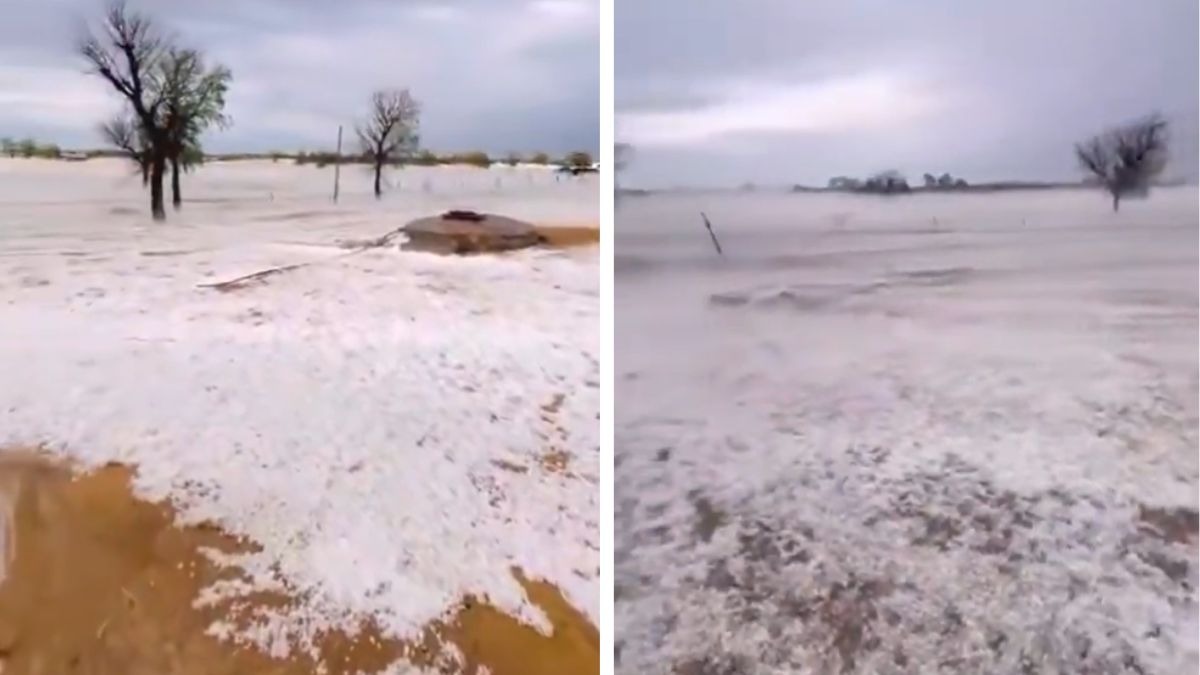 Desert turns snow-white: Unexpected hailstorm blankets parts of Rajasthan