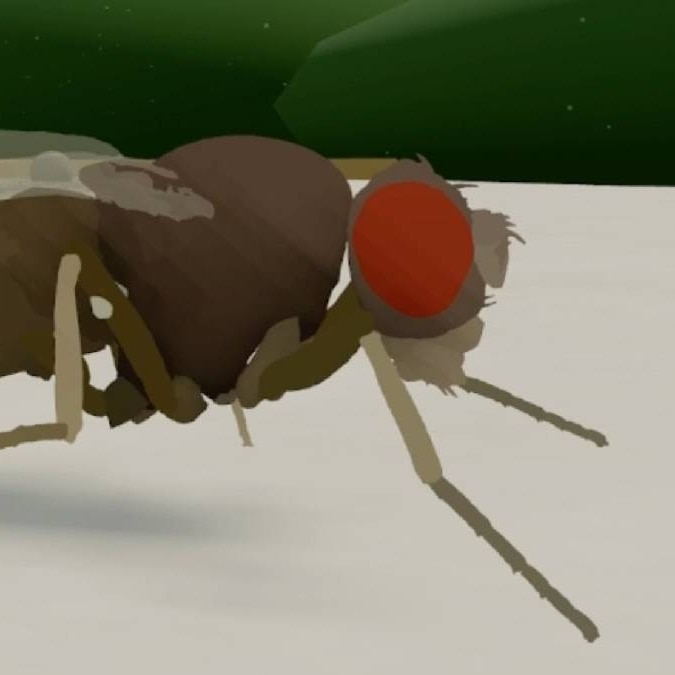 Scientists put fly brain in AI and it worked, they want to simulate human brain next