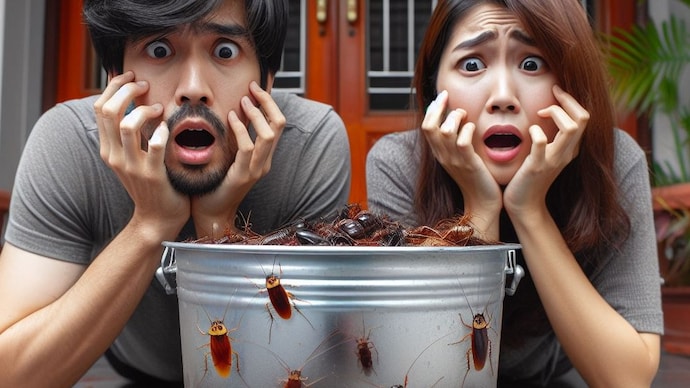 Why flying cockroaches appear in summer and how to keep them away AI image
