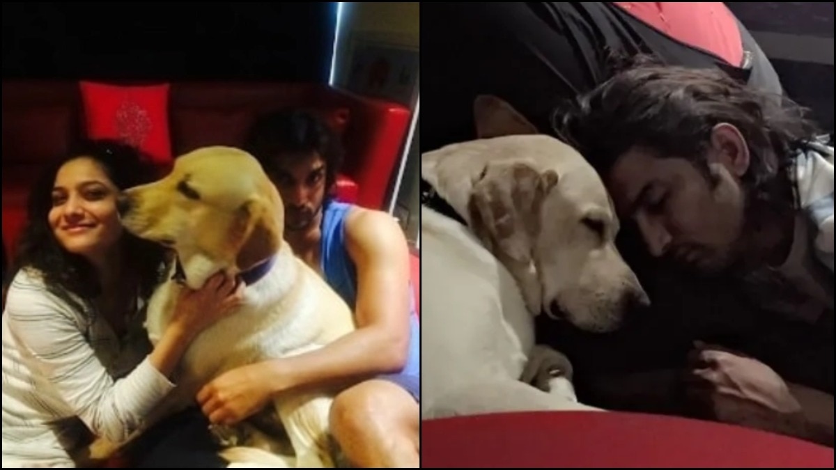 Ankita Lokhande remembers pet Scotch with old video featuring Sushant Singh Rajput. (Photo Credit: Instagram/ Scotch_badebhaiya) Ankita Lokhande, Sushant Singh Rajput