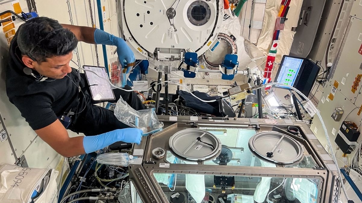Why astronauts feel they are still in space months after coming to Earth