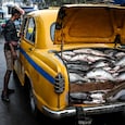 Bengal elections fish Bengal elections fish