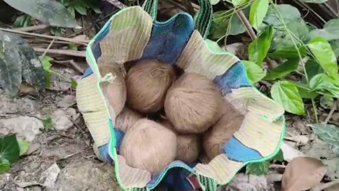 Acting on a tip-off, police conducted a search in a garden behind a TMC worker’s house, where they recovered a bag containing nine bombs, police sources said. Bhangar west bengal