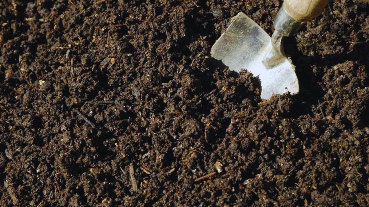 Lead contamination detected near battery recycling units across north India