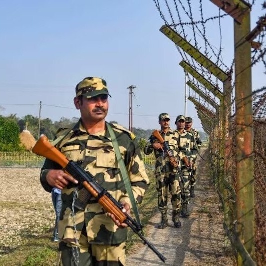 BSF considers snakes, crocodiles to curb infiltration along Bangladesh border