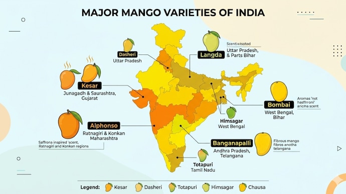 From Alphonso in Maharashtra to Bombai in Odisha, India’s mango varieties are deeply tied to region