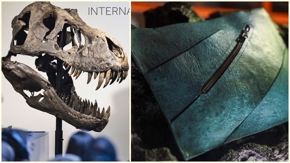 A dinosaur in your wardrobe: How science turned fossil into fashion