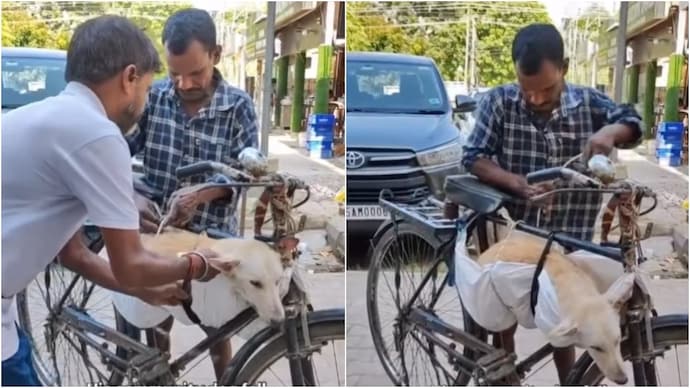 A video of a man's silent efforts to get a sick stray dog treated has won hearts. (Photo: Instagram) dog