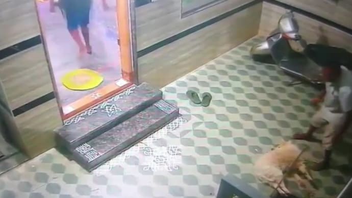 The CCTV footage of the inhumane attack has gone viral. dog attack bengaluru
