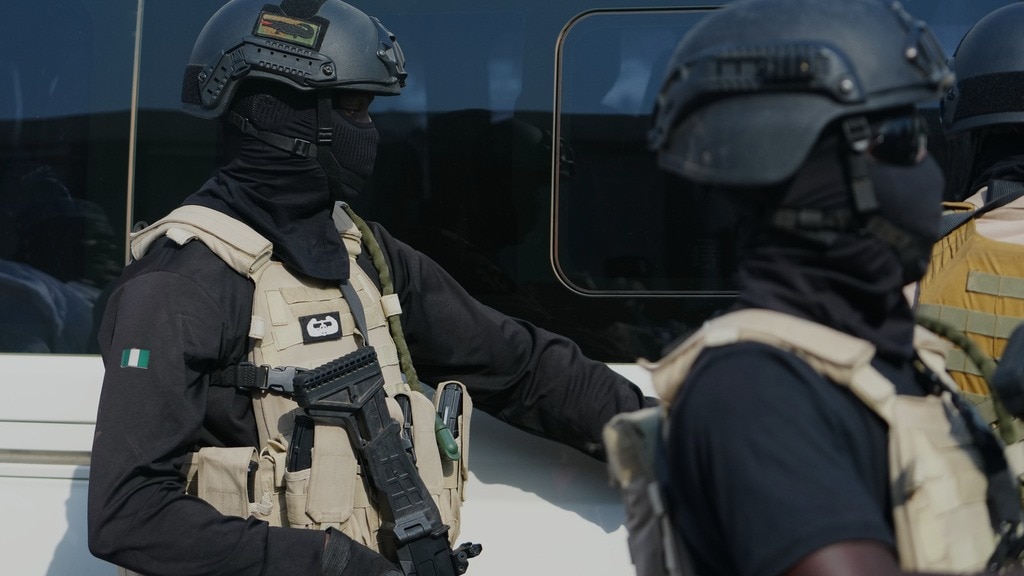 29 killed in Islamic State attack in Nigeria